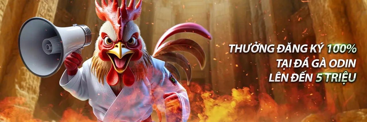 Sân vận động thể thao với các môn thi đấu sôi động tại 997bet đăng nhập